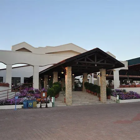 Aska Costa Club シダ
